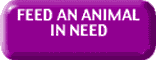 animalrescuesite